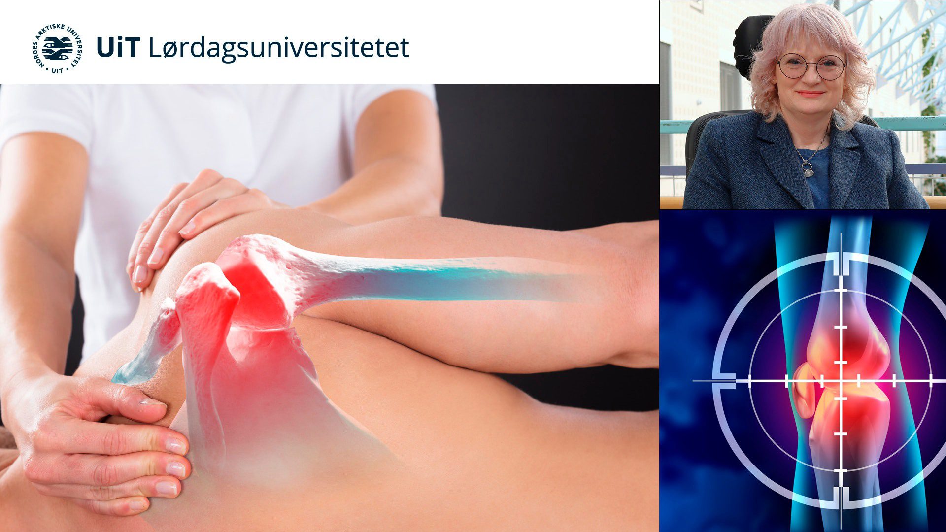 Lørdagsuniversitetet