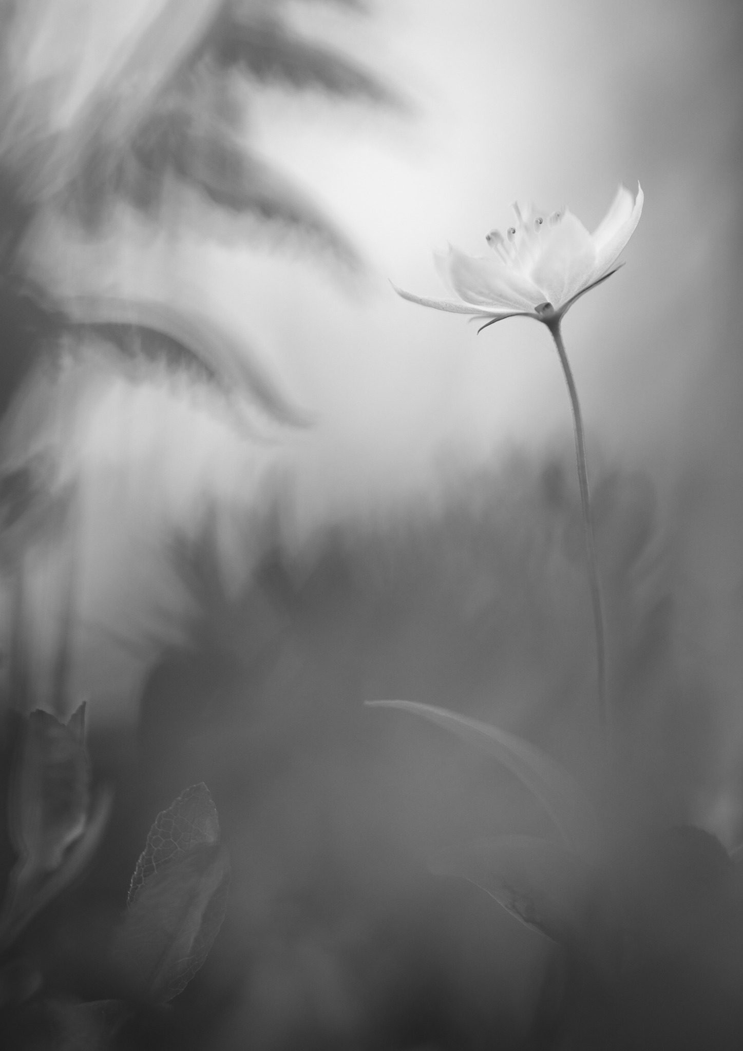 Åpent møte i Tromsø Fotoklubb