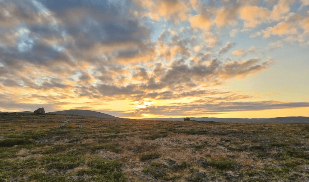 Natur i Nord